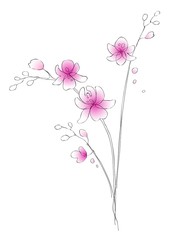 Watercolor and contour orchids - digital vector artwork