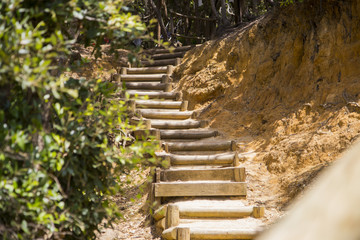 image of a ladder made with wooden logs in the middle of nature