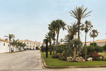 Fototapeta na wymiar old building and palms