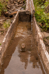 Drinking water drains through the water trough 2