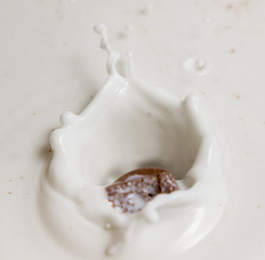 Chocolate falls in milk