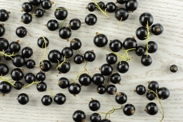 Fresh Raw Black Currant berry on grey wood
