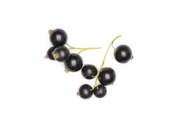 Fresh Raw Black Currant berry isolated on white
