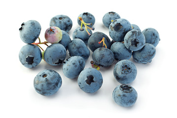 Blueberry  closeup on white