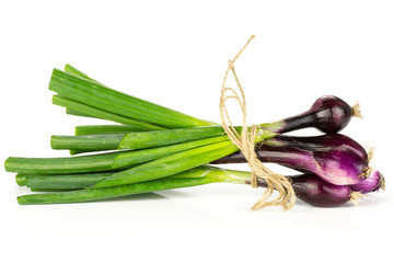 Fresh Raw green spring onion isolated on white