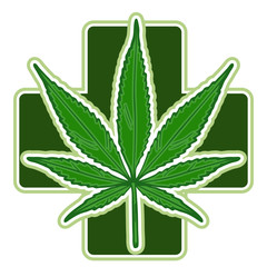 What is Hemp Oil? Your Guide to Using Hemp Oil Medical use of Hemp oil
