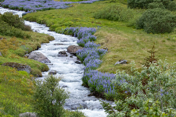 River in Iceland