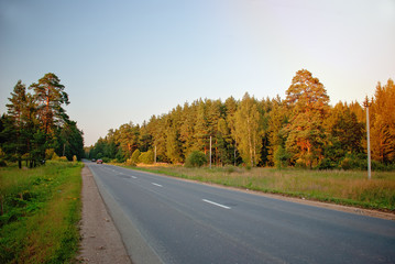 Sunset on the road in the forest
