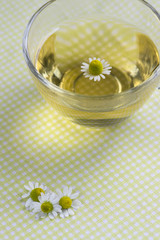 Matricaria chamomilla white flowers with yellow center, trasparent cup of tea on tablecloth, fresh flowering herbal medicine