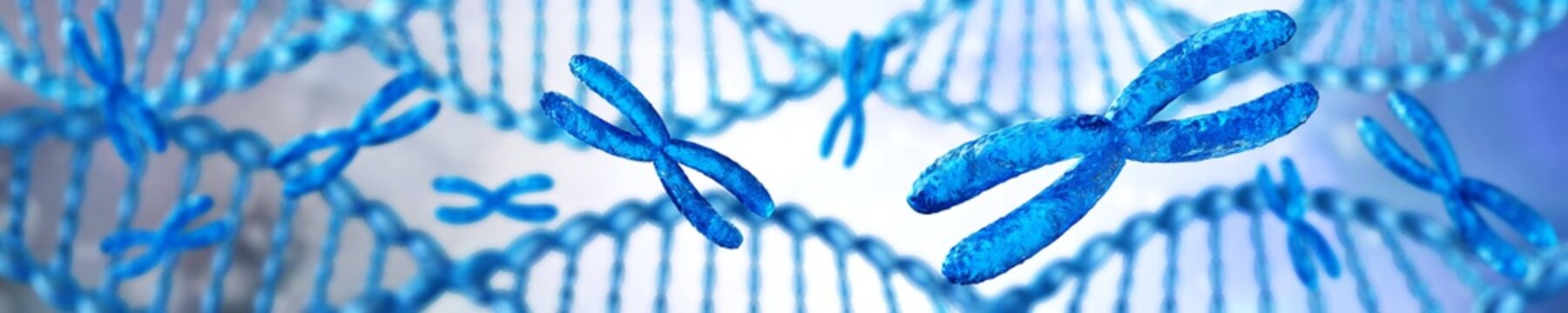 Chromosome against a background of blurred DNA. Banner.
3D rendering
