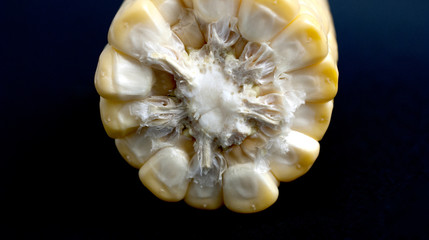 fresh corn on cob on black background
