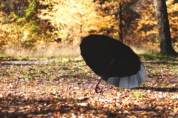 black open umbrella in an autumn park