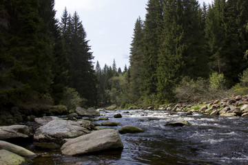 The Vydra river. Rechle, National Park Sumava, Czech Republic.