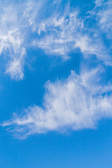 White feathery clouds on the blue sky in summer