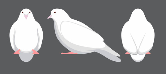 Set of white doves. Vector Illustration