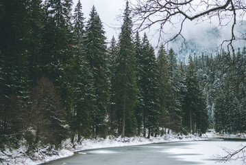 Beautiful green firs in the Carpathian Mountains. Frozen lake Synevyr covered with ice and snow. Winter landscape