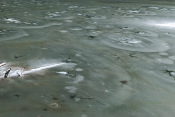 Naklejka premium Frozen dark green water of mountain lake Synevyr in Ukraine. Holes in ice. Logs covered with snow under the ice.