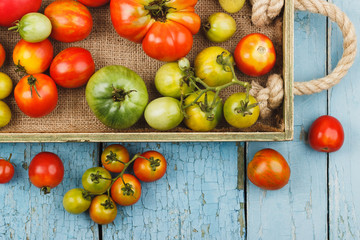 Set of ripe tomatoes in the wooden tray