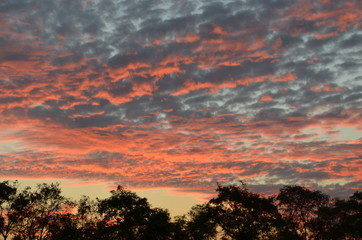 Obraz premium Sunset