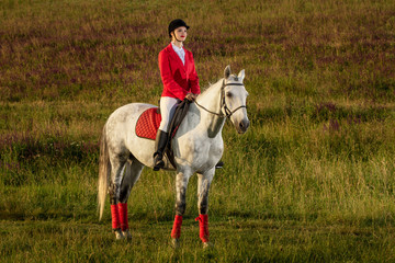 The horsewoman on a red horse. Horse riding. Horse racing. Rider on a horse.