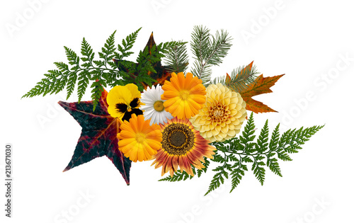 Autumn Themed Floral Element Isolated On White Background Seas Stock Photo And Royalty Free Images On Fotolia Com Pic 213671030