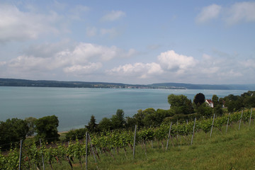 Ausblick auf den Bodensee