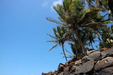 Guyane, Island , St Joseph