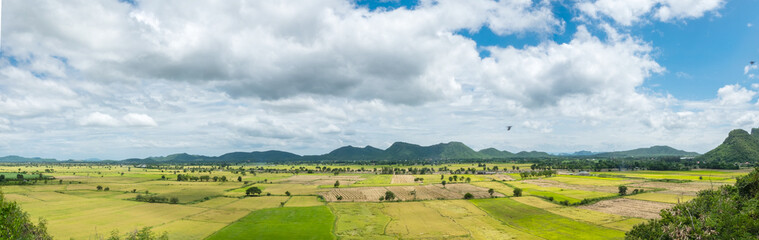 Fototapeta na wymiar Panorama beautiful aerial scenery of the rice field with cloud blue sky.