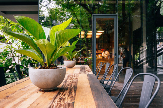 Outdoor long wooden table with plant in vase on table and many steel chairs.   