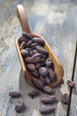 cacao bean in wooden spoon with roast bean on wooden planl,front wiew