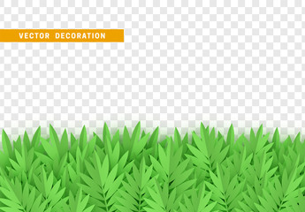 Grass, shape plant leaves border isolated with transparent background. Vector Illustration