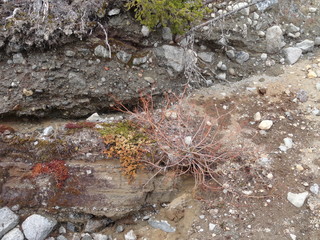 beautiful precipice in Siberia