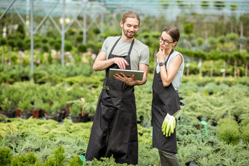 Couple of workers in uniform using digital tablet working with plants in the greenhouse of the...