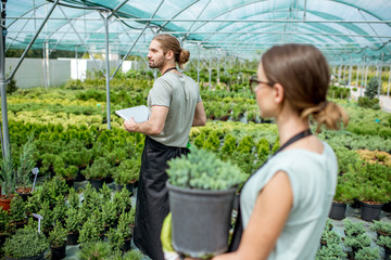 Couple of workers taking care of plants supervising the growth process in the greenhouse