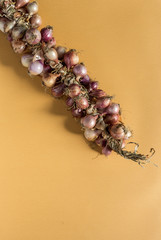 Bouquet of fresh red onions