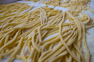 homemade spaghetti, also known as "torchi" or "troccoli"