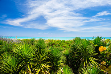 Scenic Miami Beach nature preserve on a sunny day.