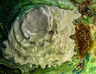 Obraz premium Éclaboussure de peinture - encre 