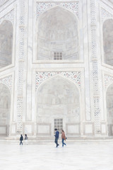 Taj mahal detail