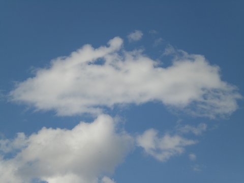 Alien Wolke