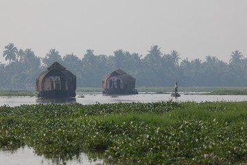 Houseboats in the Kerala backwaters