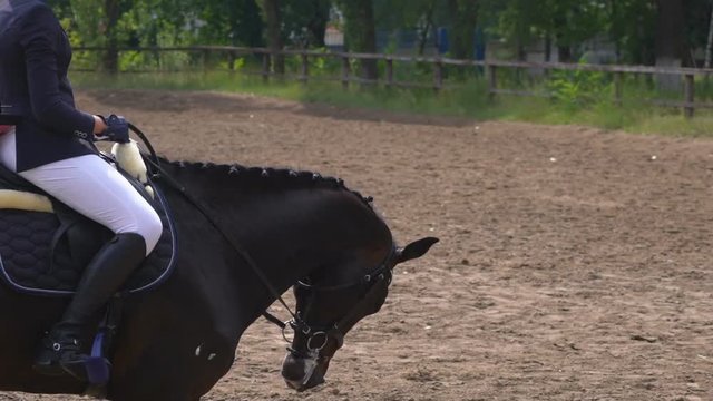 A young girl rider rides a horse riding in the saddle. the horse runs in a haphazard roundabout. Preparing for Dressage slow motion