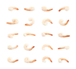 Single shrimp isolated