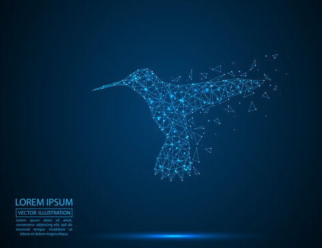 Abstract bird Hummingbird consisting of 3D triangles, lines, points and links. Vector illustration of EPS 10.