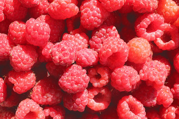 raspberry closeup texture for background