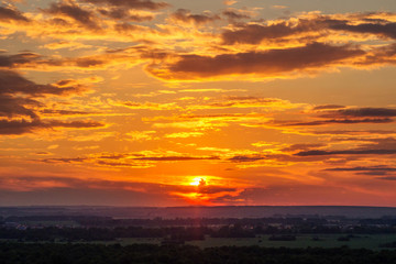 beautiful orange sunset in the forest