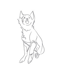 dog sitting, lines, vector