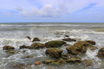 Splash on the rocks, Marineland, Florida