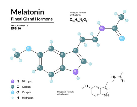 Melatonin. Pineal Gland Hormone. Regulator of Diurnal Rhythms. Structural Chemical Molecular Formula and 3d Model. Atoms are Represented as Spheres with Color Coding. Vector Illustration