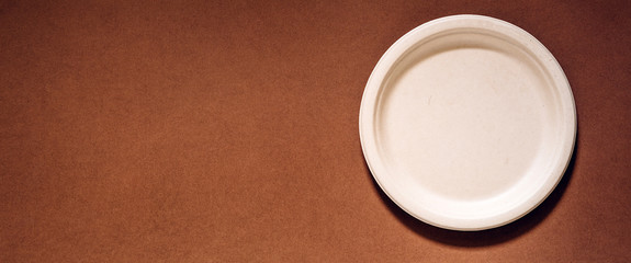 Biodegradable and compostable disposable molded fibre plate